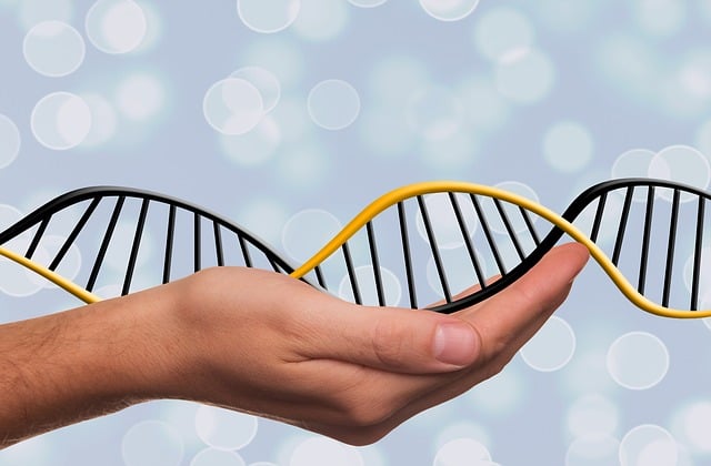 dna-image-by-gerd-altmann-from-pixabay_640