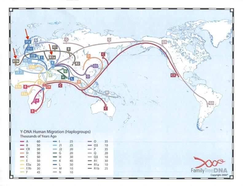 fig-1-y-dna-human-migration-2007