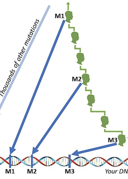 fig-5-dave-vance-diagram fig-5-dave-vance-diagram
